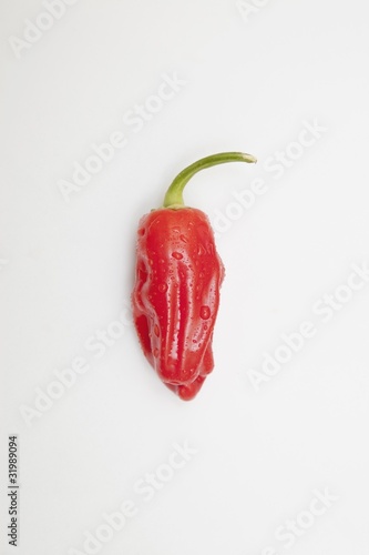 A Red Jalapeno Pepper That Looks Hot With Steam