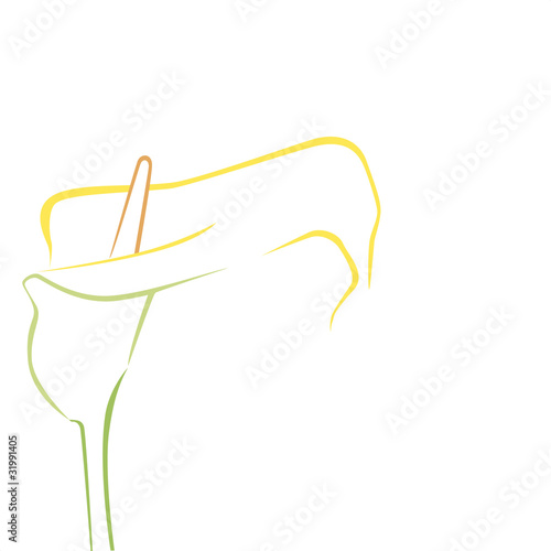 Fotografi calla