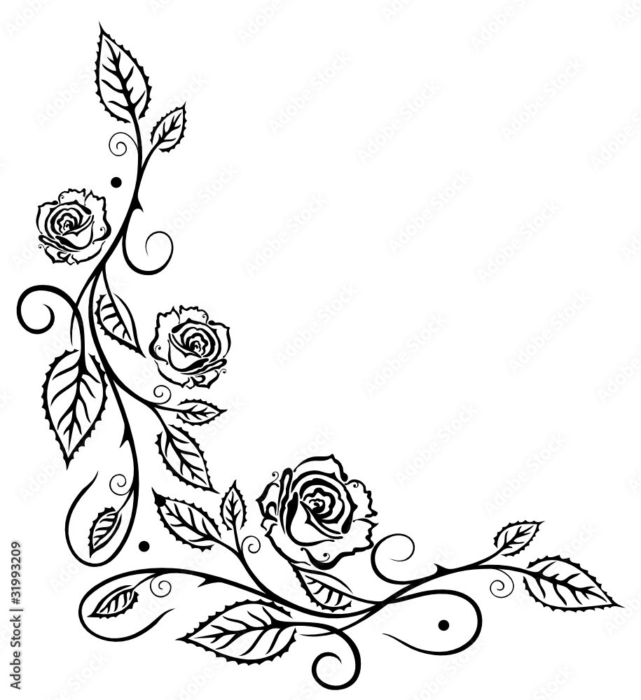 Rose, Rosen, Ranke, Blumen, Blüten, Blätter, schwarz Stock-Vektorgrafik