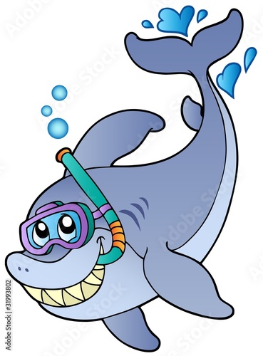 Shark snorkel diver