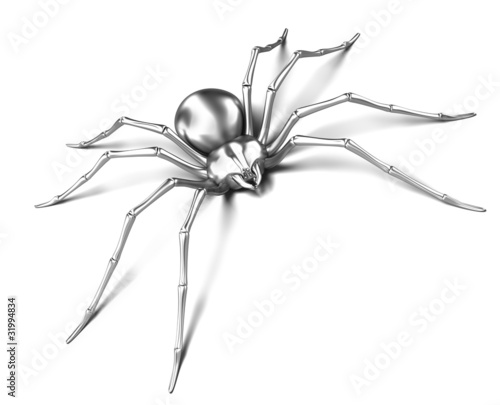 Spider - silver metallic. Black Widow. Isolated on white