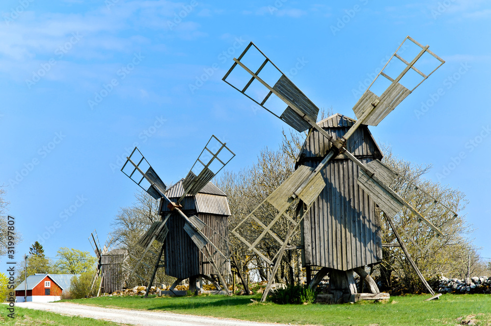 Fototapeta premium Windmühlen auf Öland, Schweden
