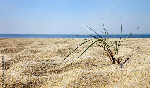 strand photo