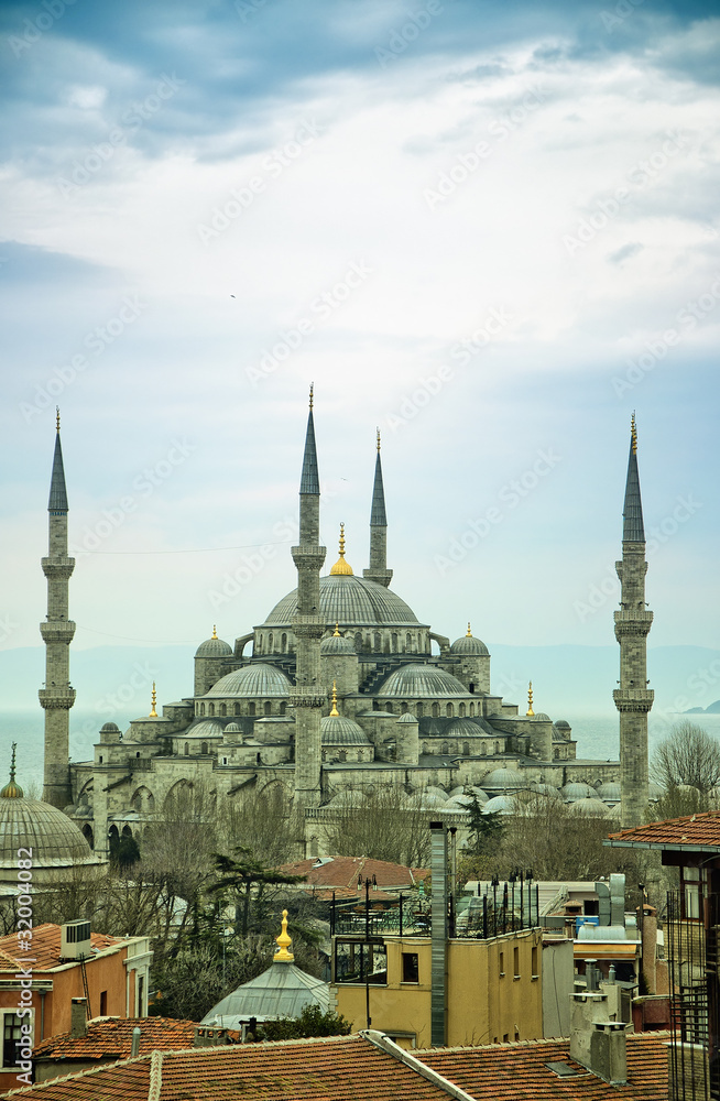 Obraz premium Blue Mosque 03