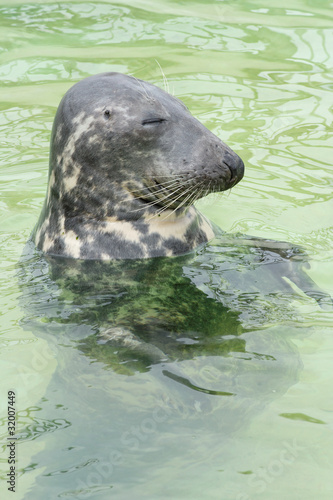 Texel - 2009