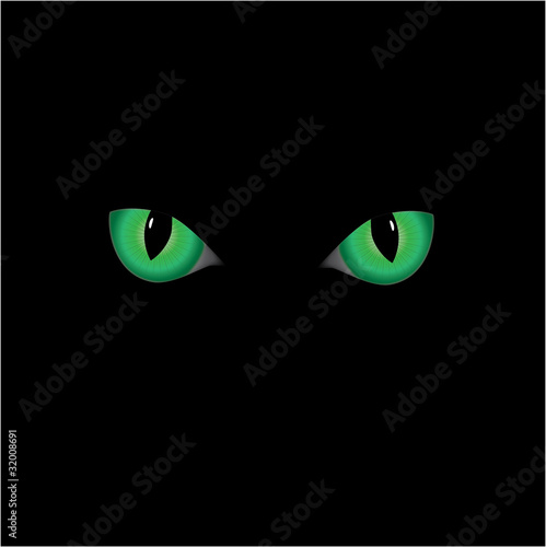 vector image  of the green cat' s eyes on the black background.