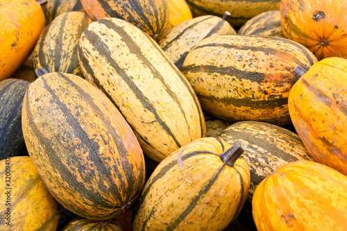 Spaghettikürbis, Spaghetti Squash