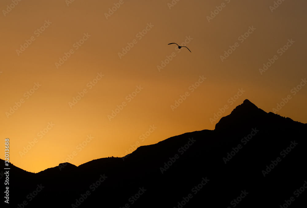 Silhouette Silhouette