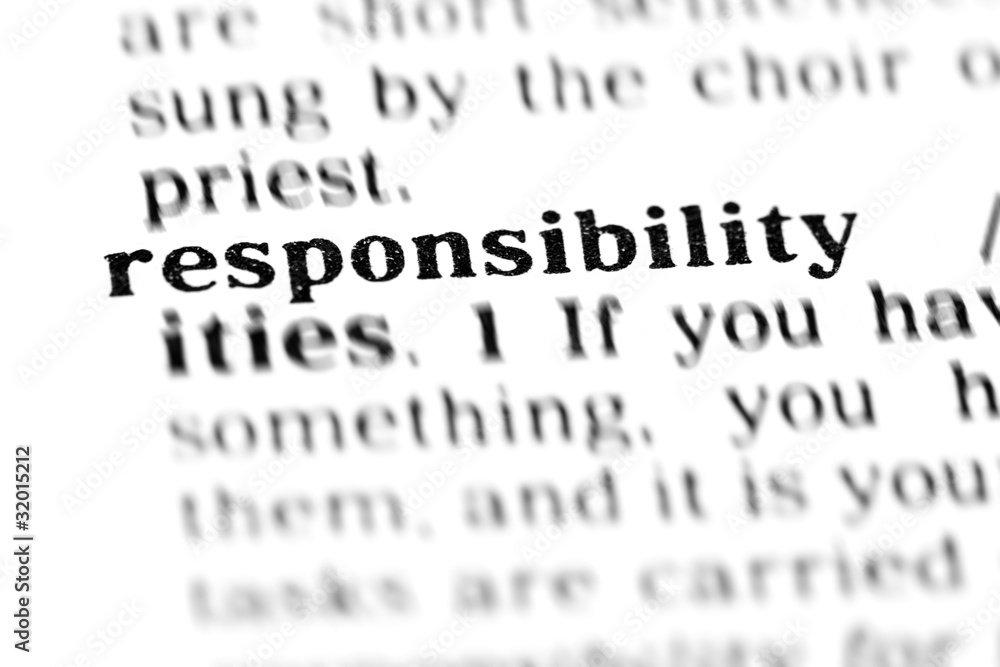 responsibility (the dictionary project) responsibility (the dictionary project)