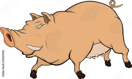 Wild boar .Cartoon