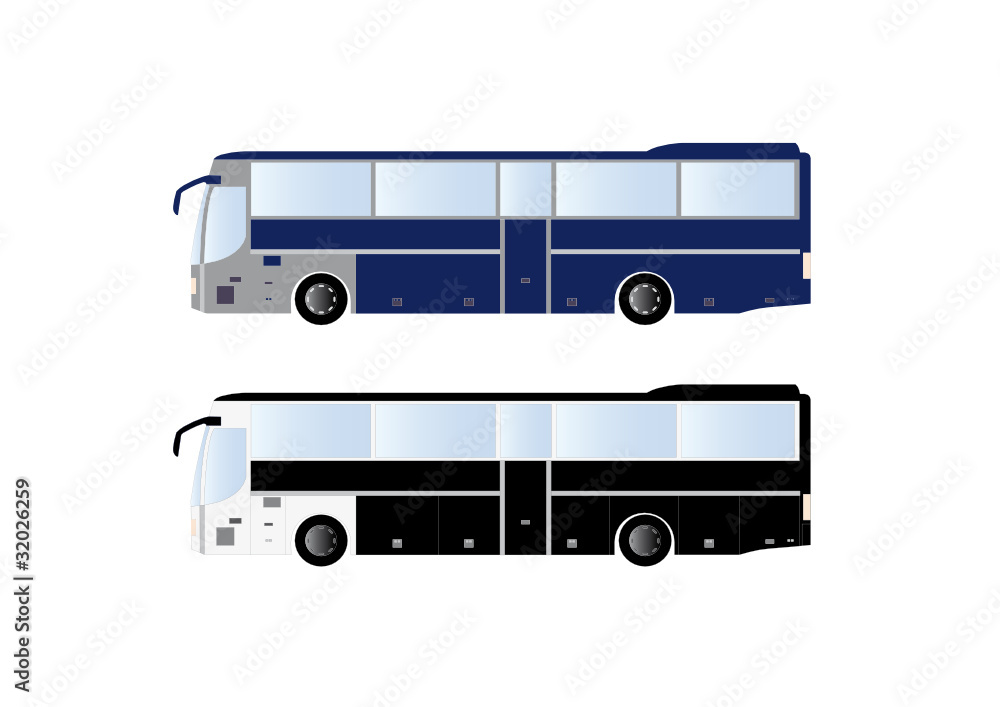 coach vector graphics