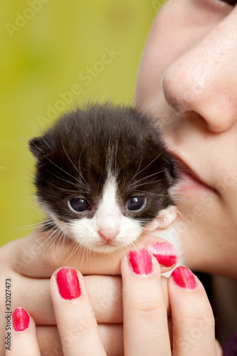 Câlin petit chaton. photo