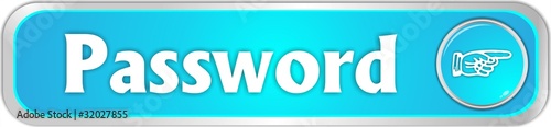button password