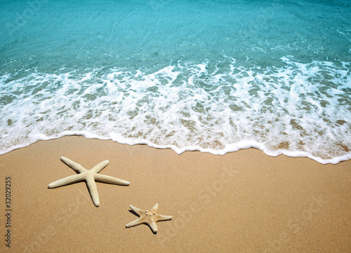 Foto starfish on a beach sand