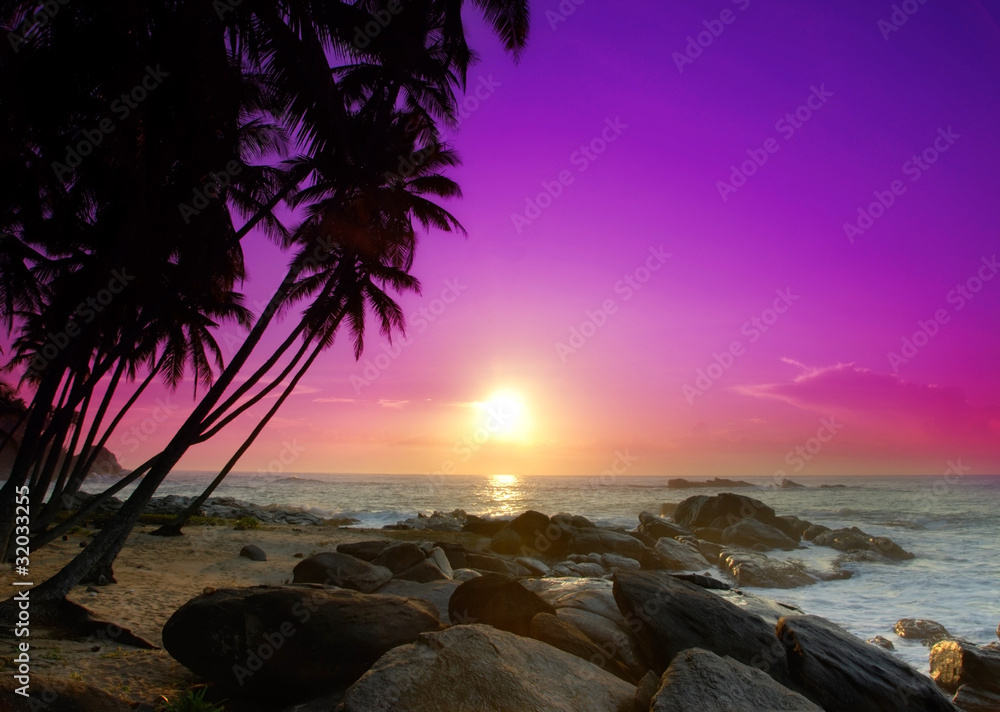 Sunrise on Sri Lanka - obrazy, fototapety, plakaty 