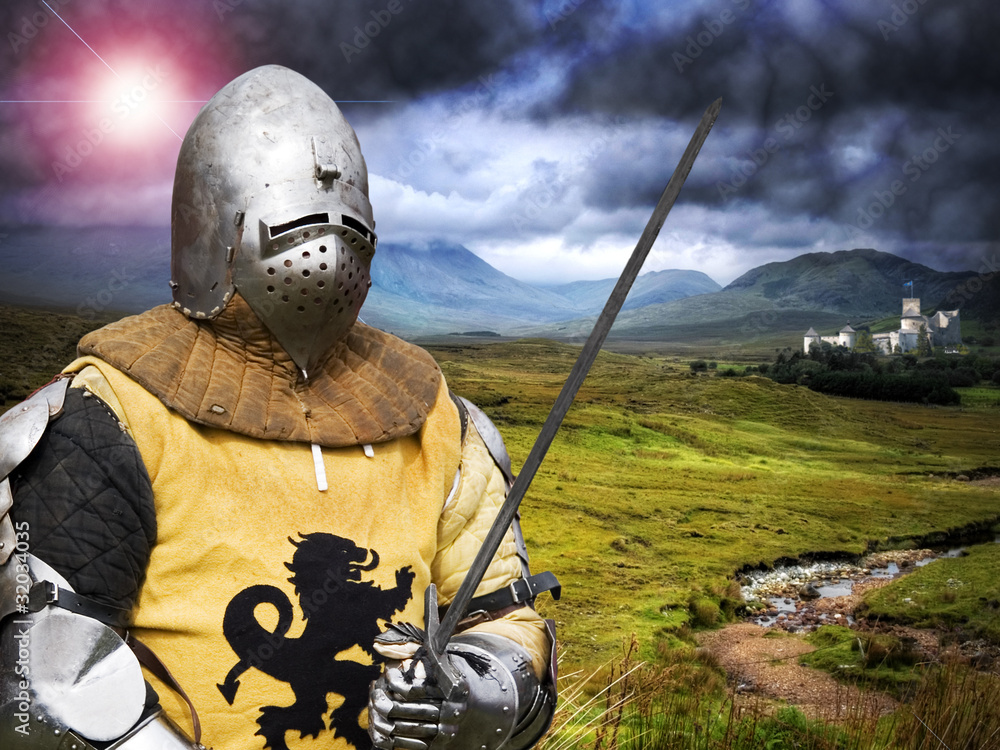 Naklejka premium Knight