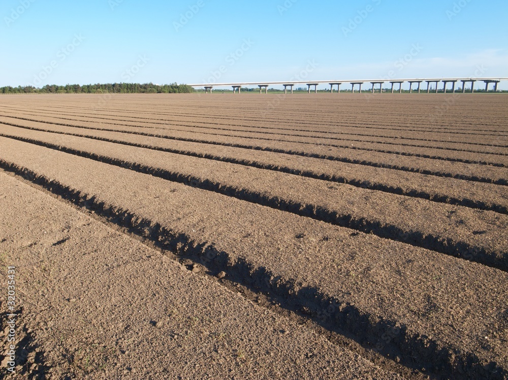 Freshly prepared and sown field Freshly prepared and sown field