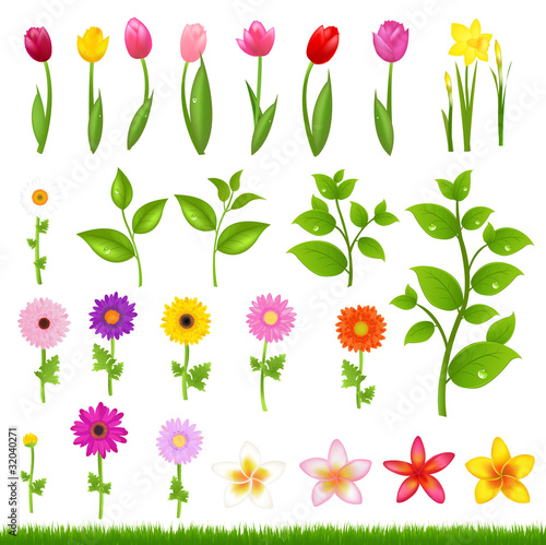 Flower Borders - 8