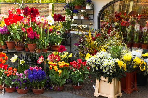 Florist shop with colorful spring flowers
