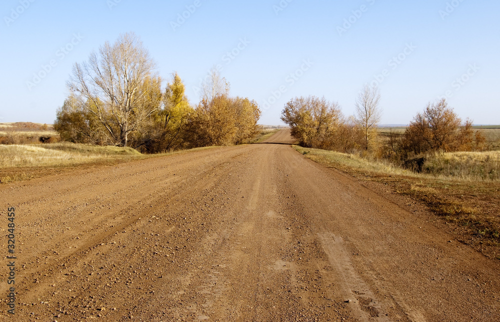 Fototapeta premium Грунтовая дорога