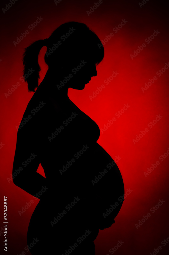 beautiful pregnant silhouette