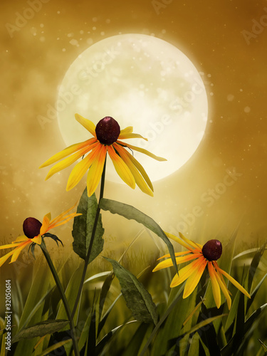 Łąka z kwiatami na tle księżyca