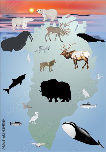 Greenland animals collection illustration
