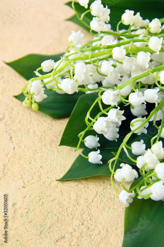 lovely bunch of lily of the valley on a stone background photo