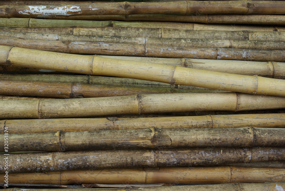 bamboo bamboo