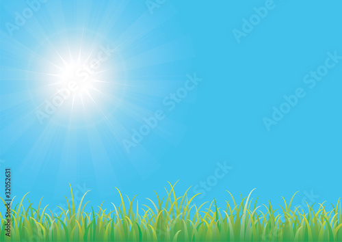Green grass