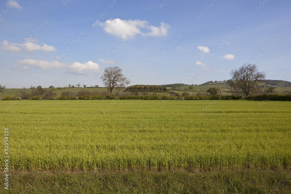 springtime english landscape