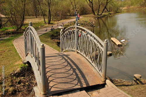 Пешеходный мост в весеннем парке
