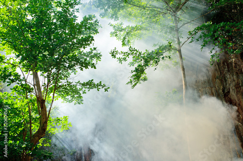 sunbeam in fairy tropical forest, Thailand