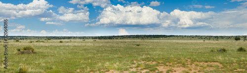 Obraz na plátně Grassy prairie of Texas - panorama