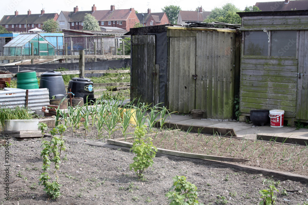 Obraz premium sheds on an allotment