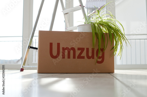 Umzugskarton