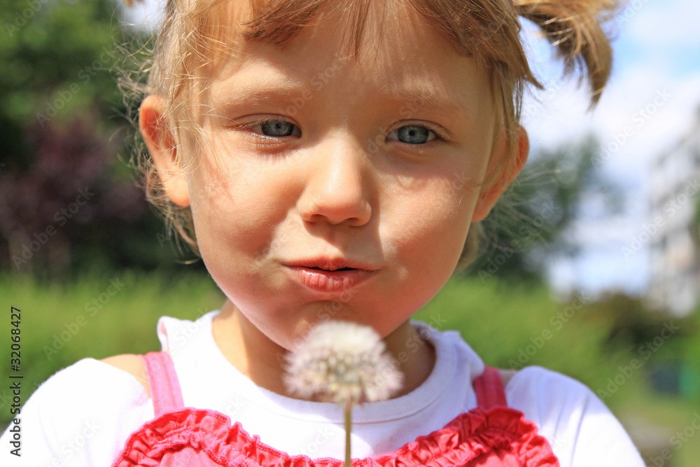 Little girl blowing dandelions on the meadow - obrazy, fototapety, plakaty 