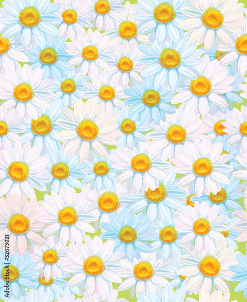 Seamless pattern of white camomiles. Seamless pattern of white camomiles.