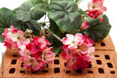 Fototapeta Naklejka Na Ścianę i Meble -  Geranien auf Ziegelstein