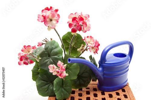 Fototapeta Naklejka Na Ścianę i Meble -  Geranien mit Gießkanne
