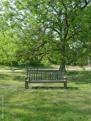 イギリスの新緑の公園
