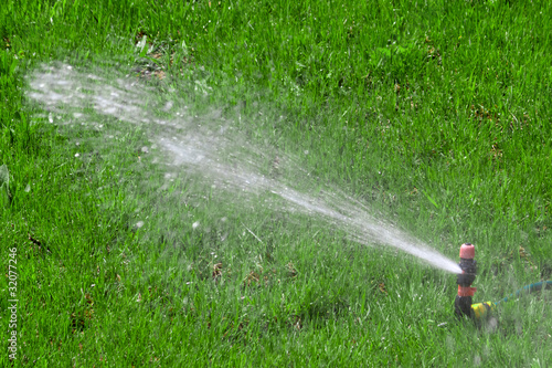 Lawn with Sprinkler