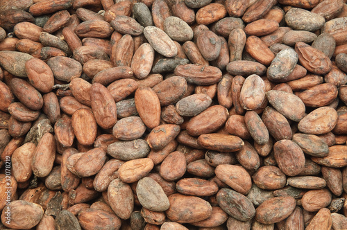 Fèves de cacao