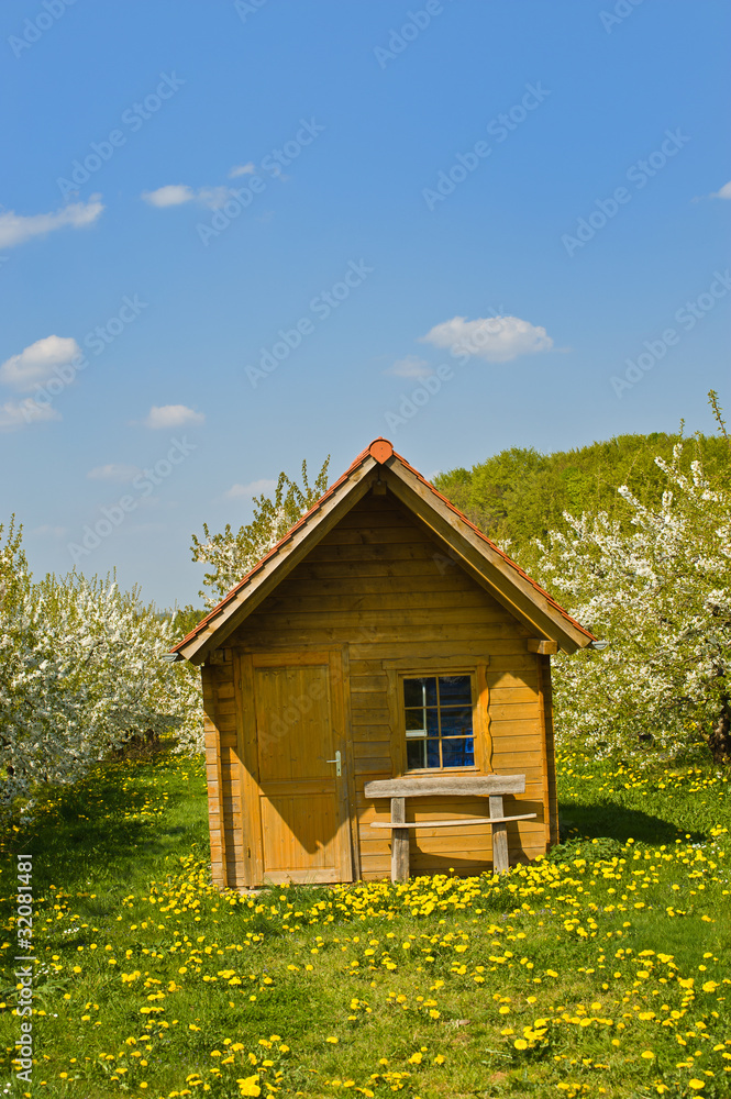 Hütte in einem Kirschgarten