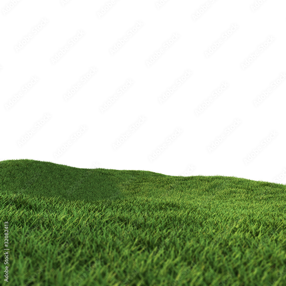 Obraz premium green field white