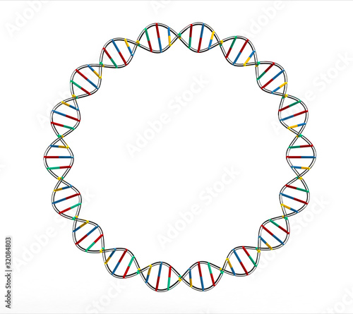 DNA circle