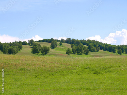 Summer landscape