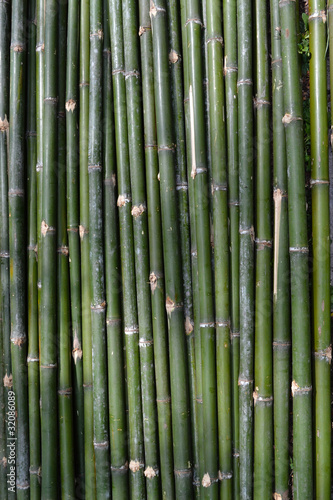 Fototapeta Naklejka Na Ścianę i Meble -  Green bamboo strip as background.