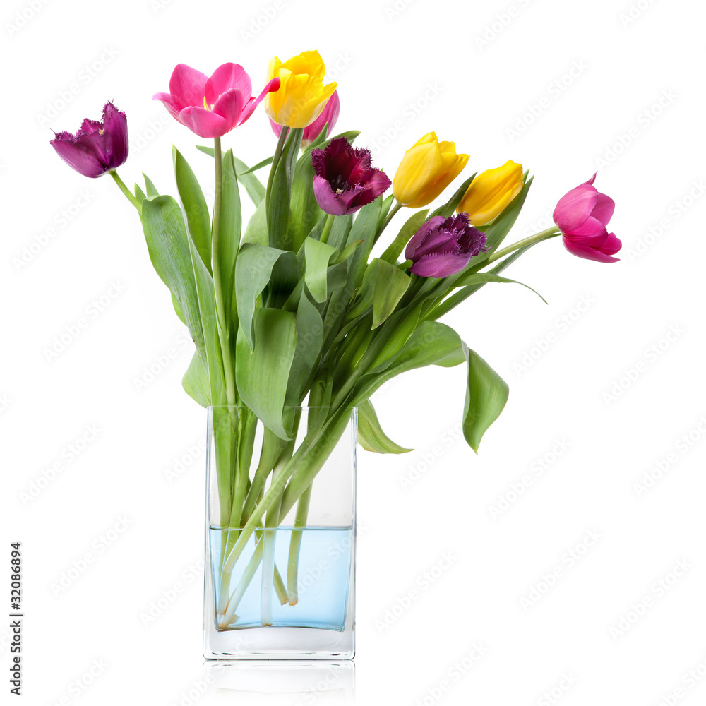 bouquet from tulips in glass vase isolated on white bouquet from tulips in glass vase isolated on white