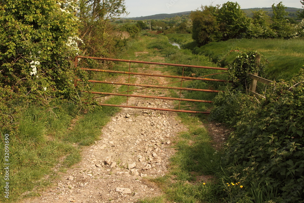Rural lane in England